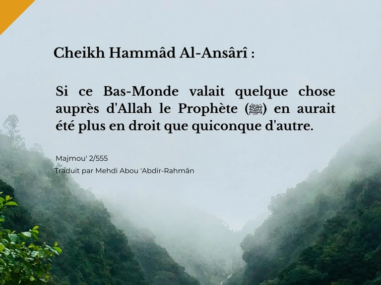 Rappels en images