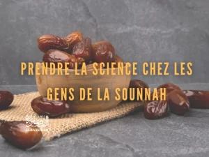 Il est préférable de laisser les noyaux en dehors des dattes