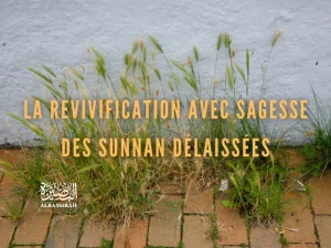 La revivification avec sagesse des Sunnan délaissées